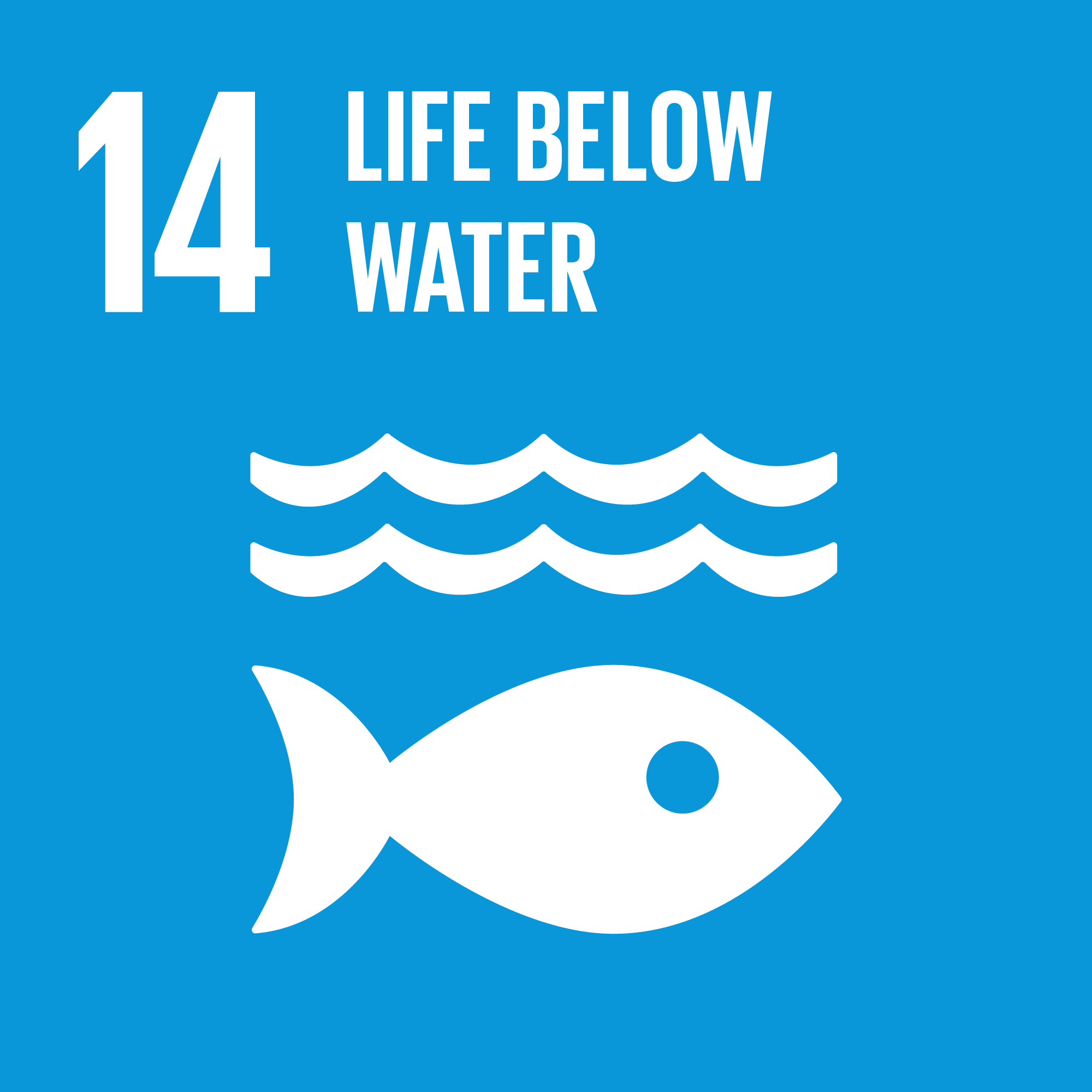 The Global Goals 14 - Life below water